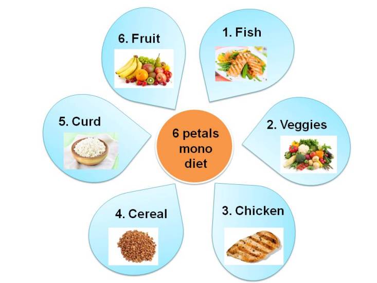 mono-diet-for-weight-loss-6-petals-diet-personal-growth-and-professional-development-blog