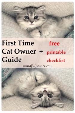 First time cat owner guide, kitten essentials checklist, having a cat for the first time