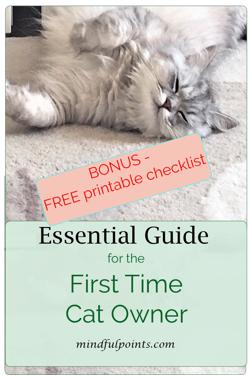 First time cat owner guide, kitten essentials checklist, having a cat for the first time